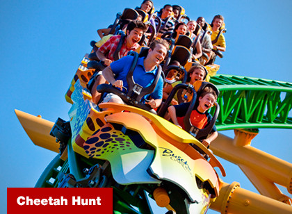 SeaWorld Two Park Ticket - 3 anos ou +